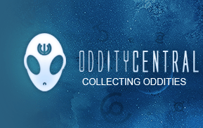 Odditycentral