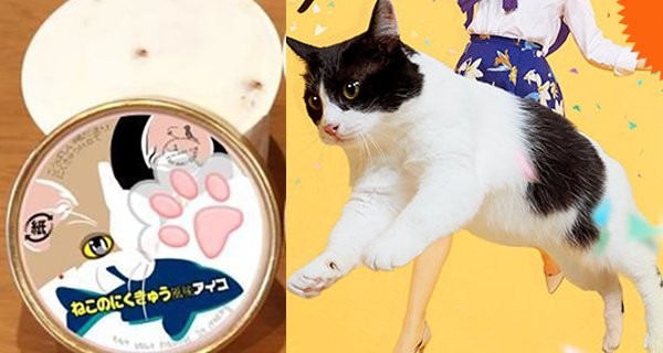 cat-paw-ice-cream