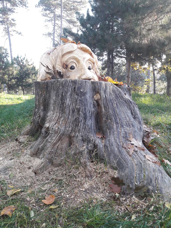 Romanian Artist Turns Tree Stumps into Beautiful Artworks