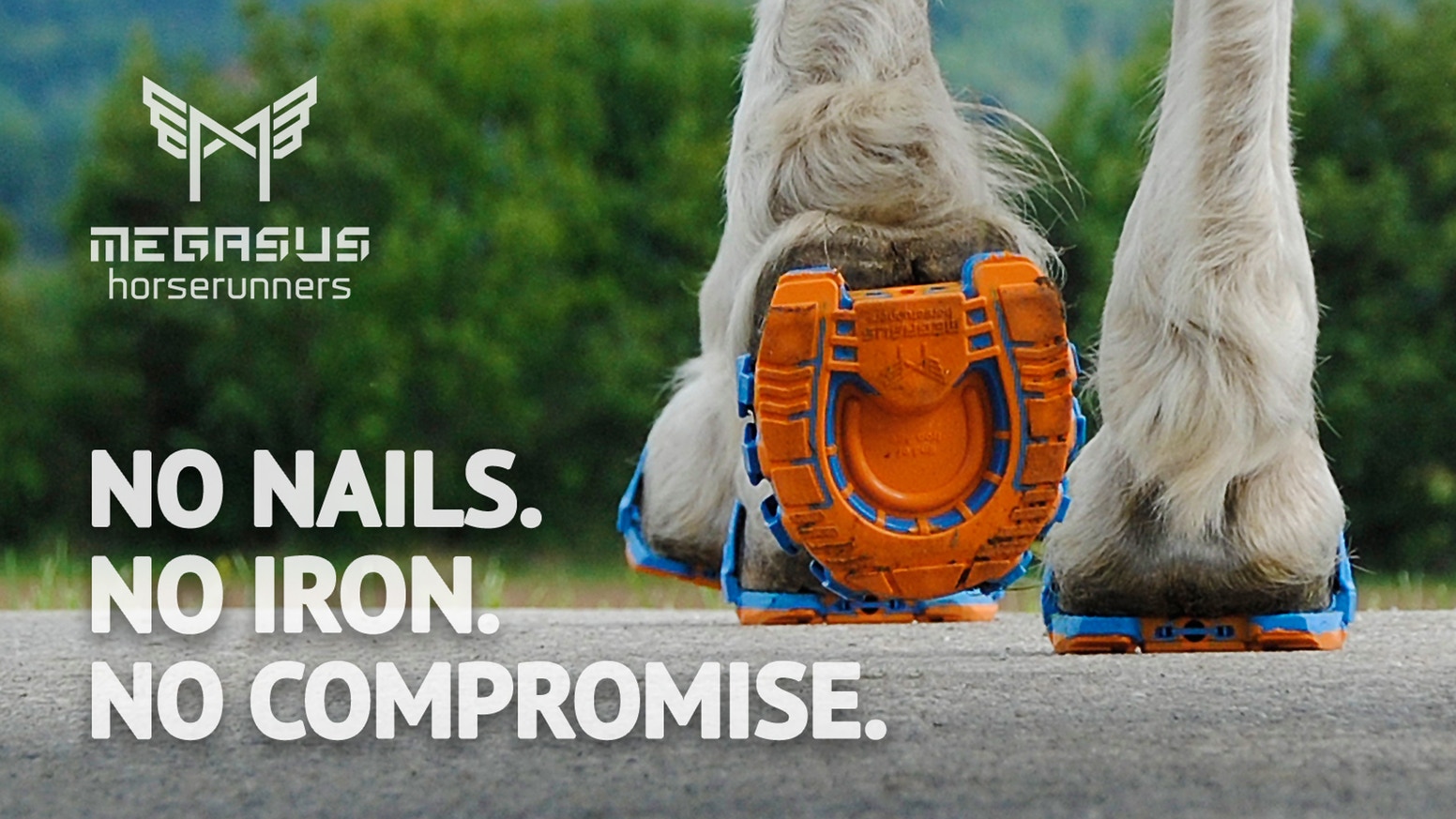 Company Creates World's First Running Shoes for Horses