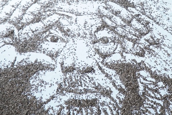 Ai-Weiwei-sunflower-seeds3