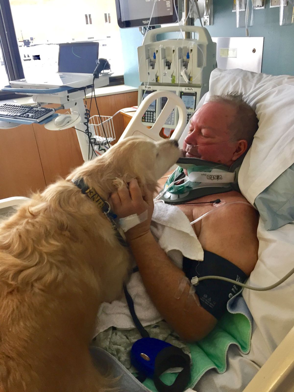 Dog Saves Owner's Life by Lying on Top of Him for 20 Hours to Keep Him
