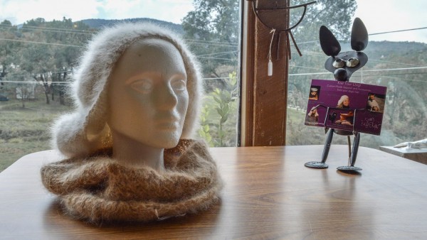 Woman Recycles Dog Hair into Beautiful Sweaters Ponchos Gloves and More
