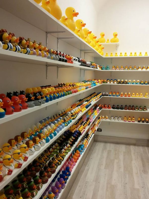 Rubber store duck shop