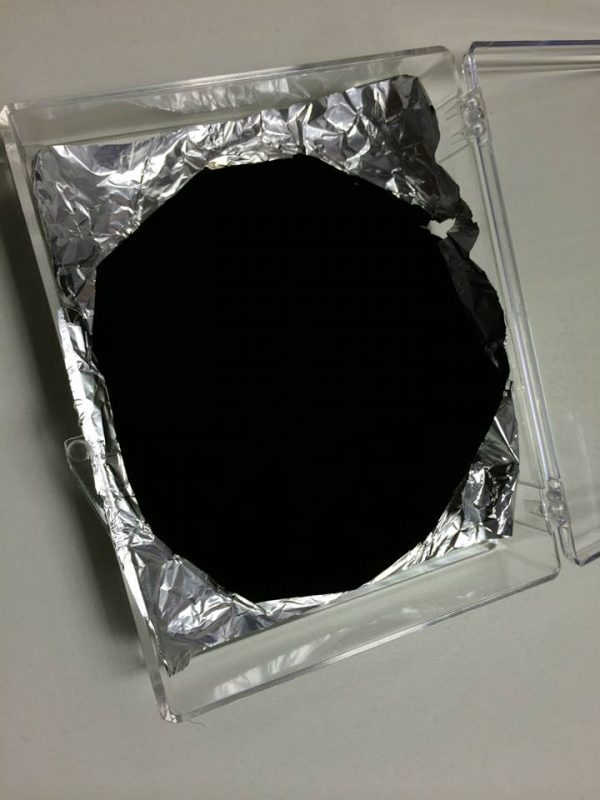 These Photos Aren't Censored, That's Just an Object Painted with the  World's Blackest Black