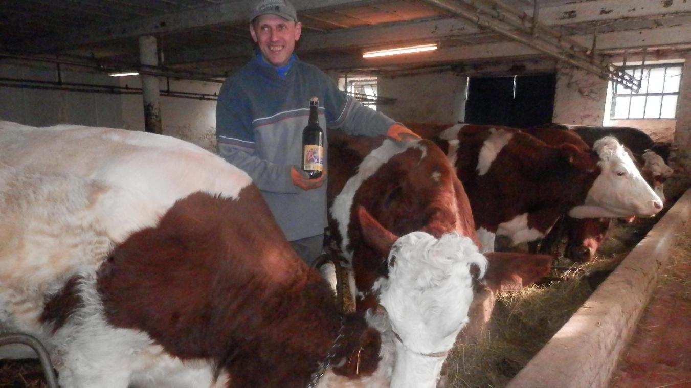 Belgian Cattle Breeder Treats His Cows to Four Liters of Beer a Day