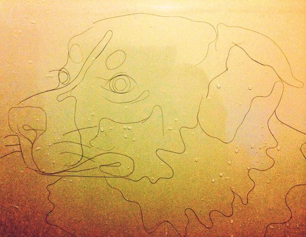 Instagrammer Uses Shower Drain Hair to Make Art