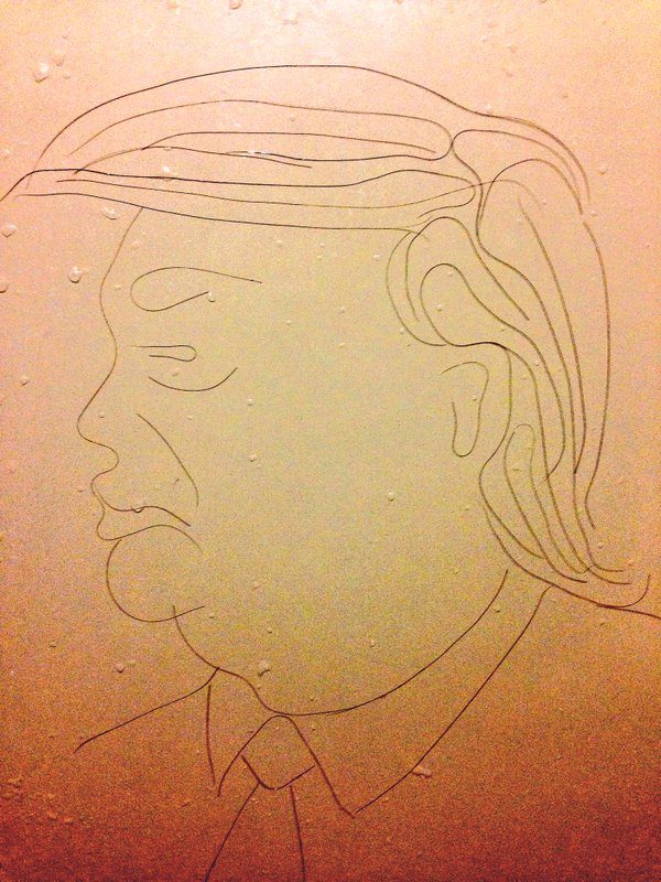 Wall hair best sale