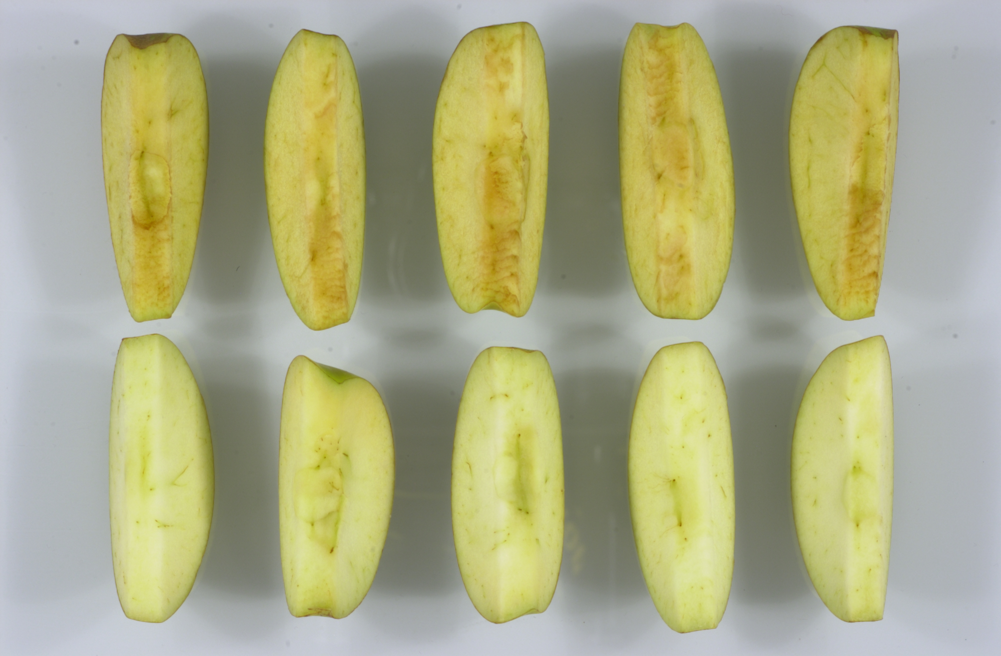 Fruit Grower Creates Apples That Don't Turn Brown When Cut or Bruised