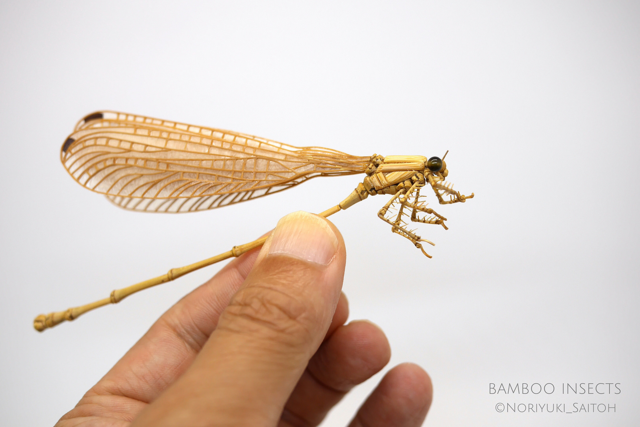 Insanely Talented Artist Creates LifeSize Insects Exclusively Out of