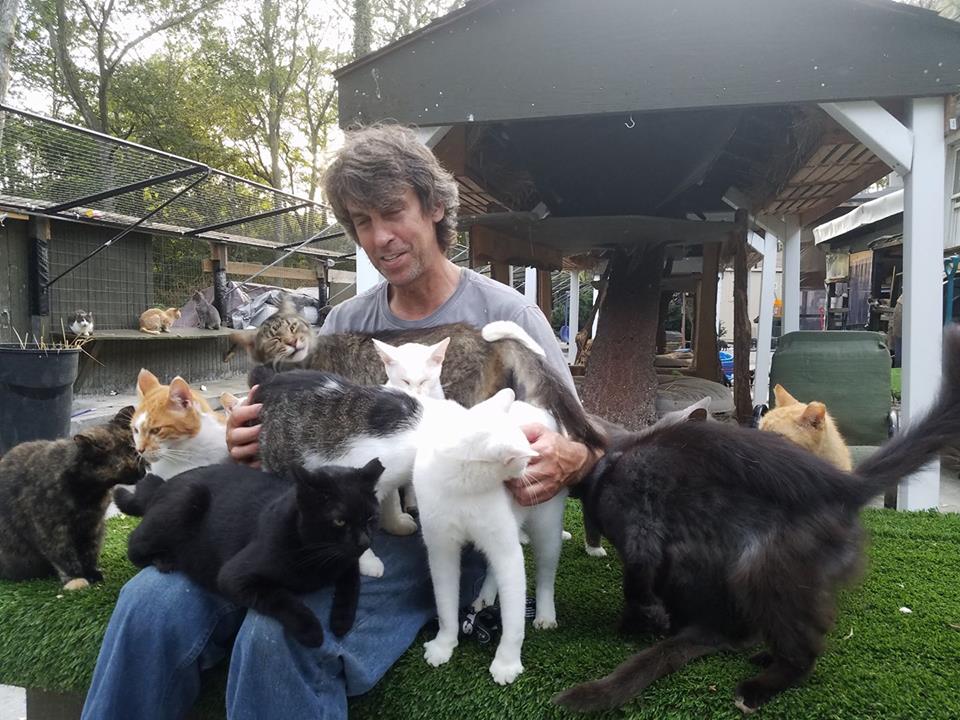 New York Man Turns His Home into a Sanctuary for Hundreds of Cats