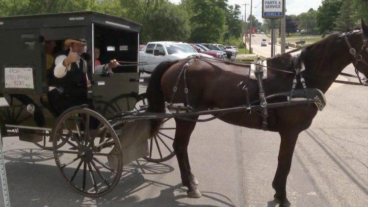 amish horse and buggy rides