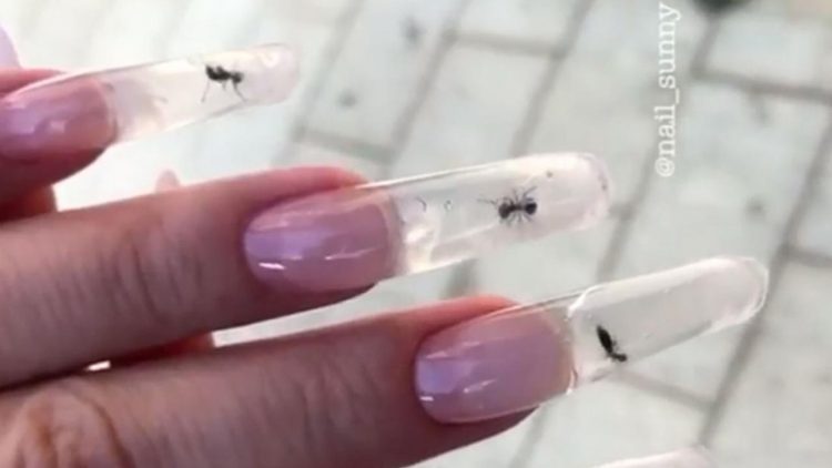 Nail Salon Gets Slammed Online For Sealing Live Ants In Transparent Acrylic Nails