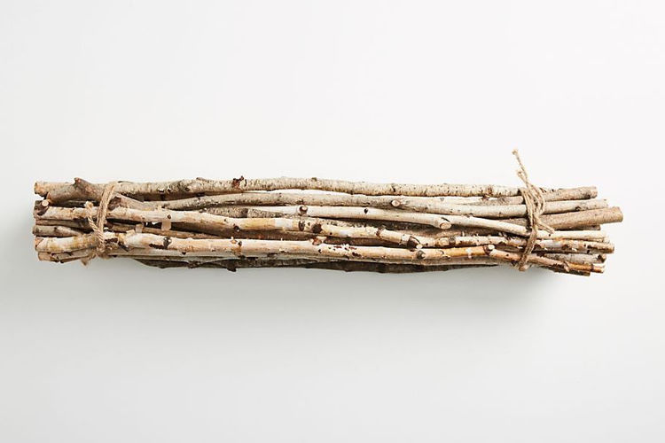 Online Homeware Store Mocked for Selling Handful of Twigs for $42