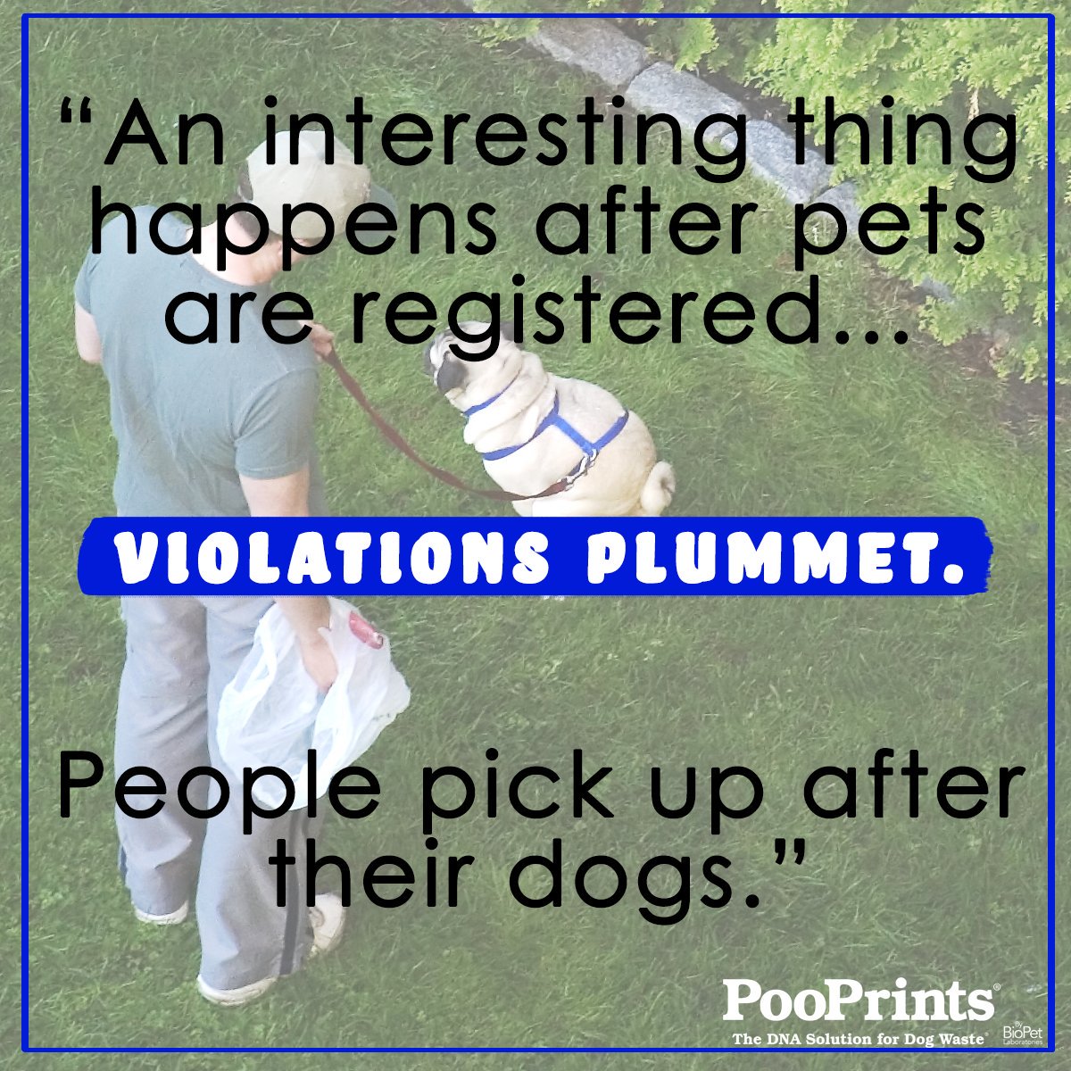 This Company DNATests Unscooped Dog Poo to Track Down Offending Pet Owners