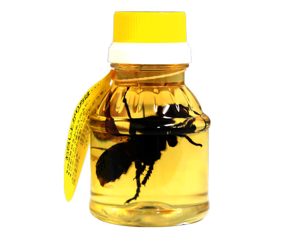 Japanese Company Sells Jars of Honey Complete with Dead Giant Hornets