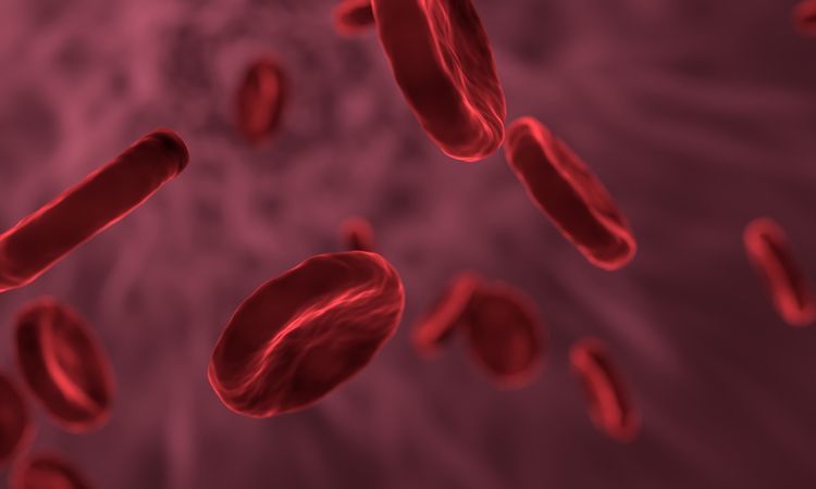 Golden Blood The World S Rarest And Most Precious Blood Type Golden Blood The World S Rarest And Most Precious Blood Type