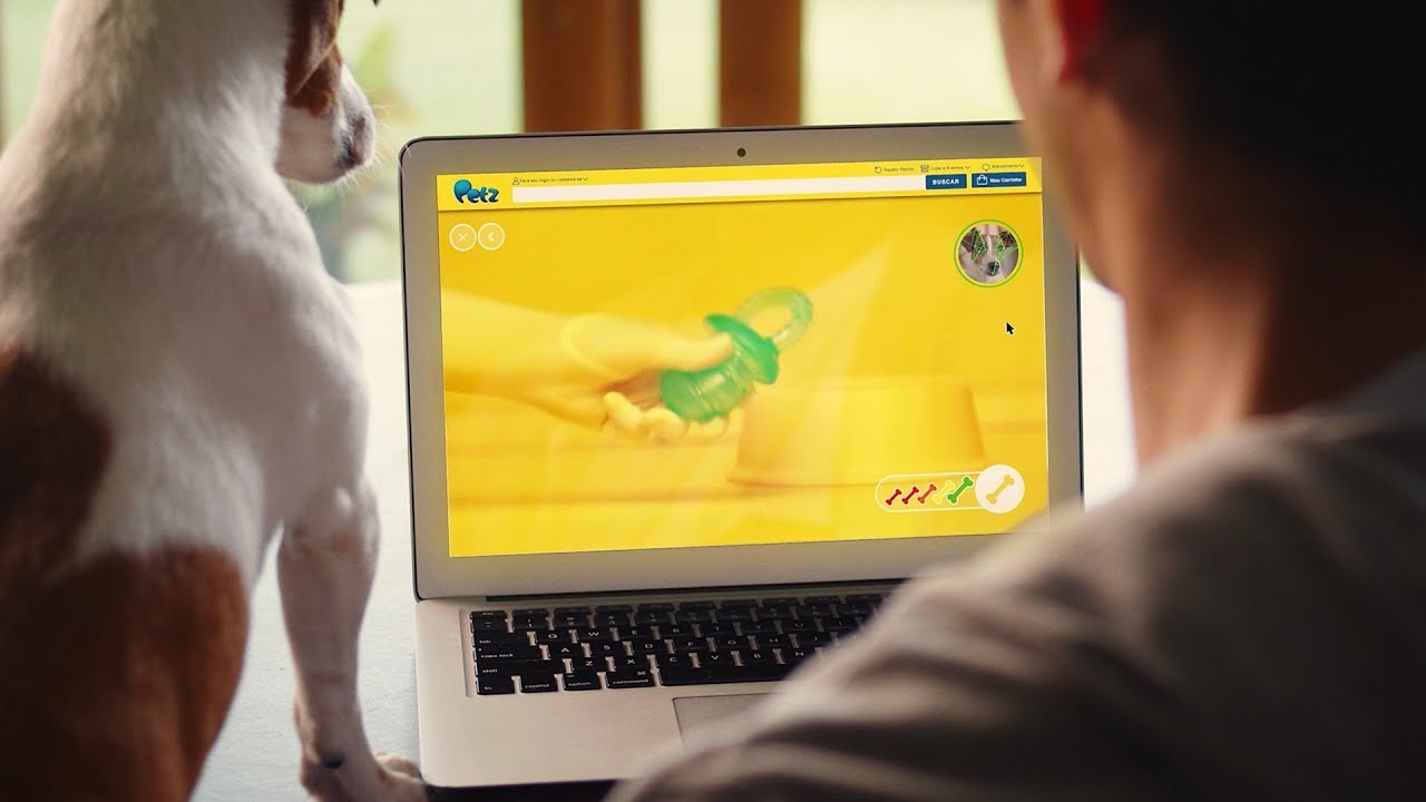 Pet создать. Фотографии электронных питомцев. Пёс Ниньо делает покупки.