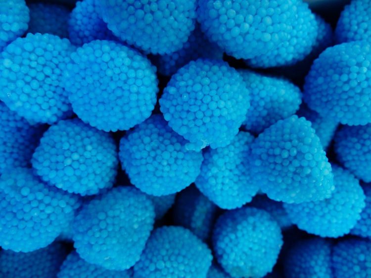 Blue fruit discount