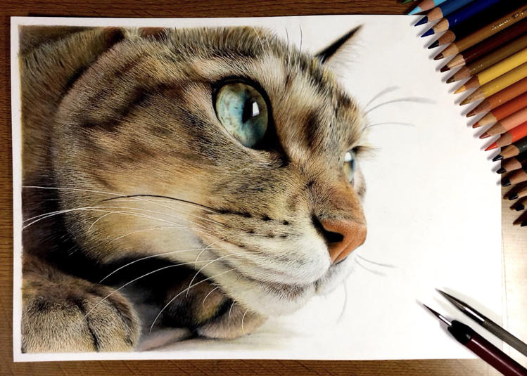 Realistic drawings clearance