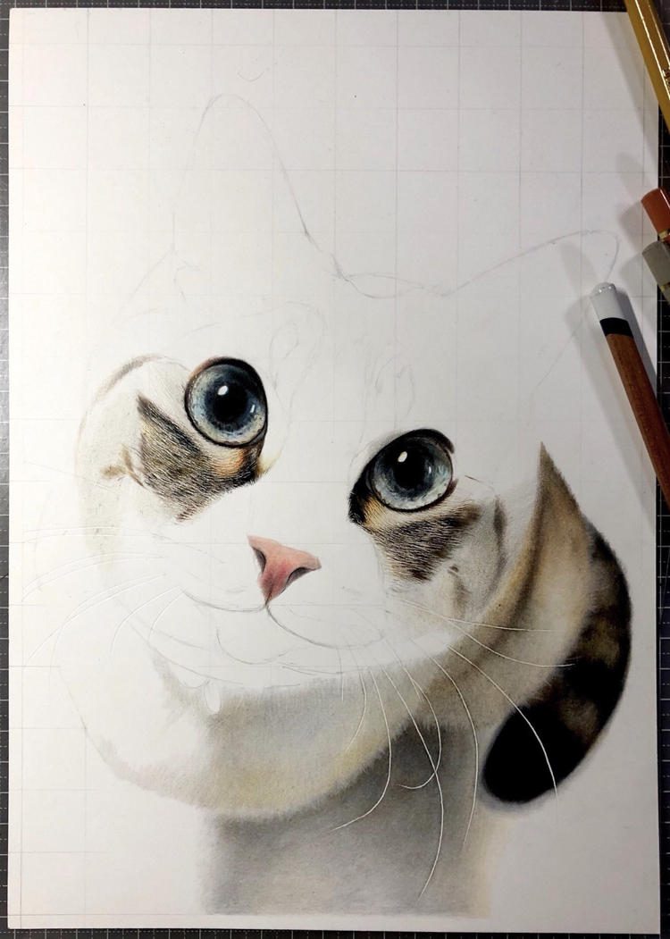 Uchinoko Maker'' that can create more than 200 million patterns of cute cat illustrations for free has appeared, so I tried using it - GIGAZINE