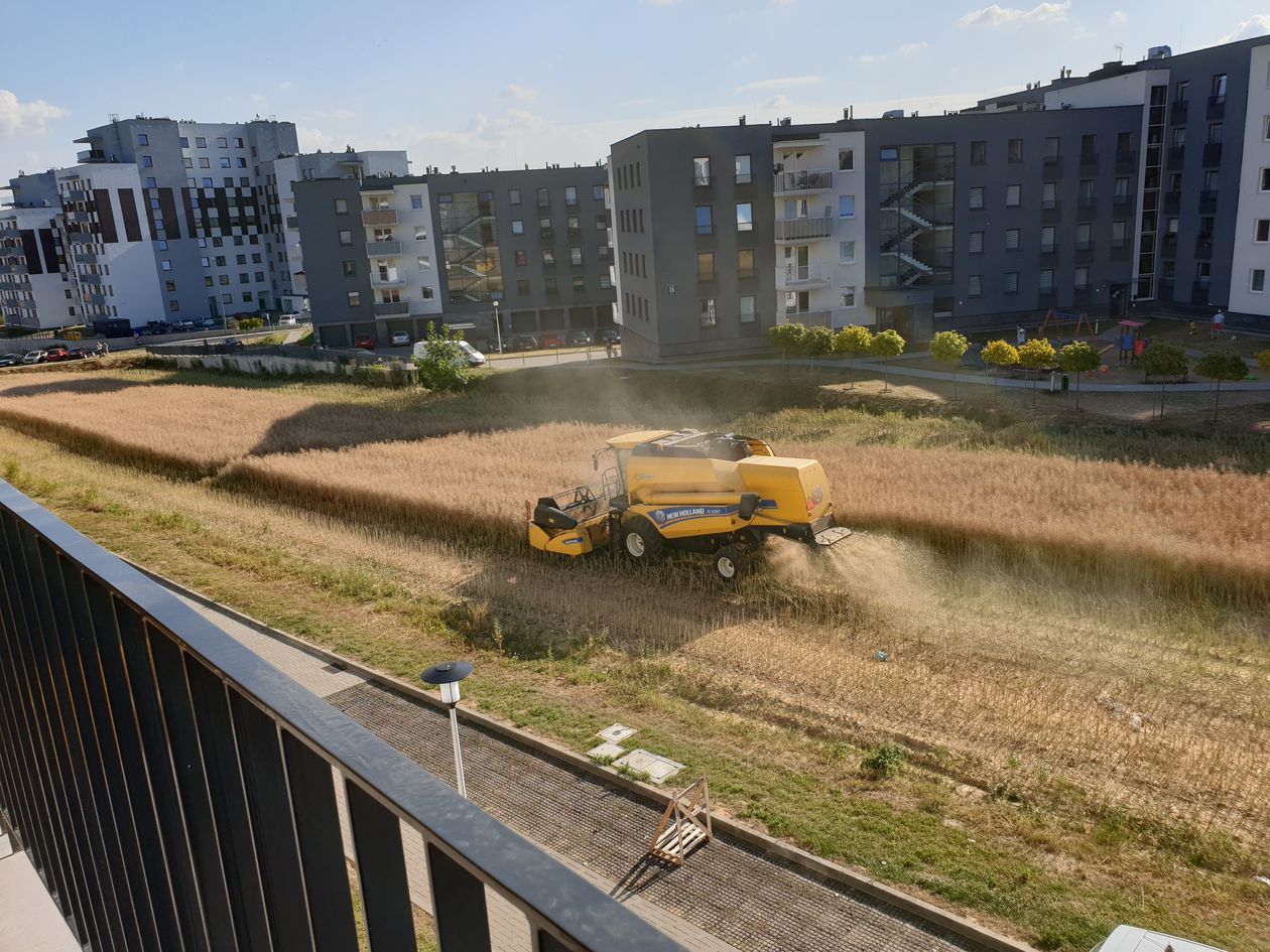 Illustration of Urban Agriculture For Apartment Buildings