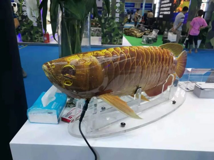 Chinese Army Showcases Eerily Realistic Fish-Like Underwater Drone