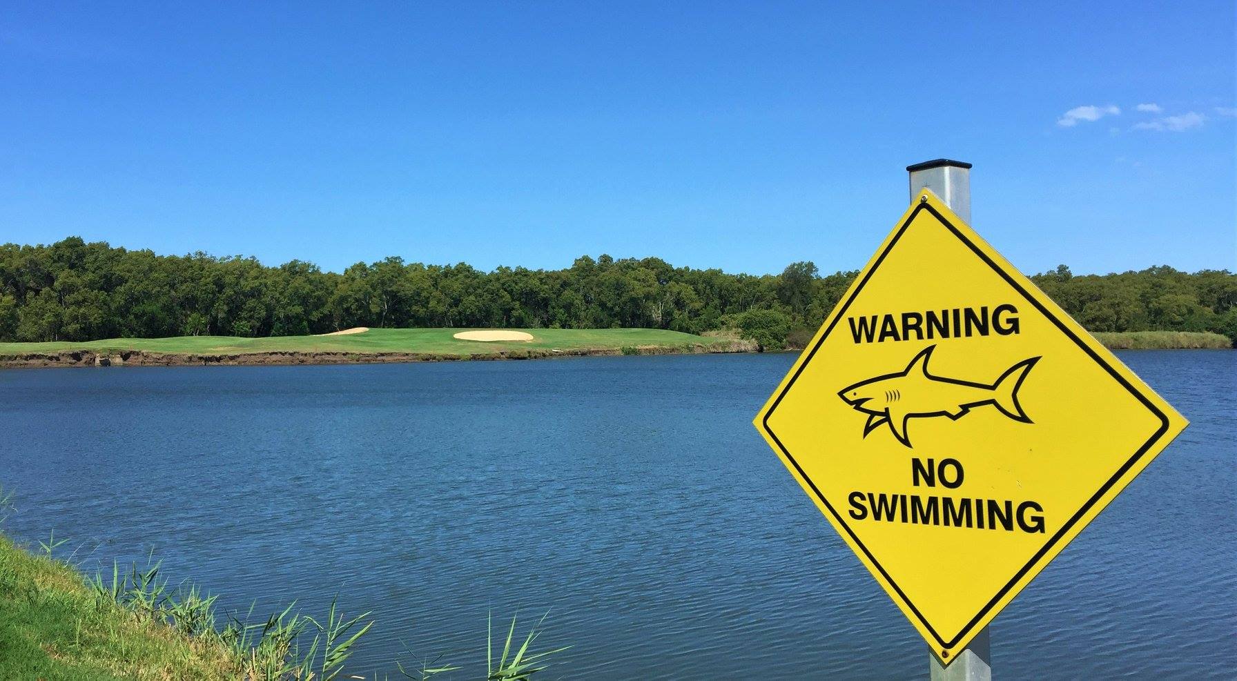Australian Golf Course Pond Is Home to Aggressive Bull Sharks