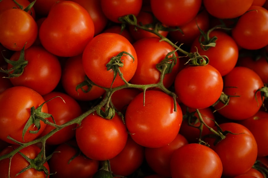 Japan Starts Selling World's First Genome-Edited Tomato