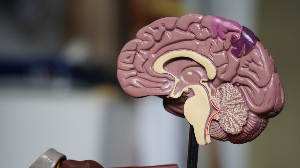 Young Man Has to Live With Black Mold Growing in His Brain - Vimarsana News