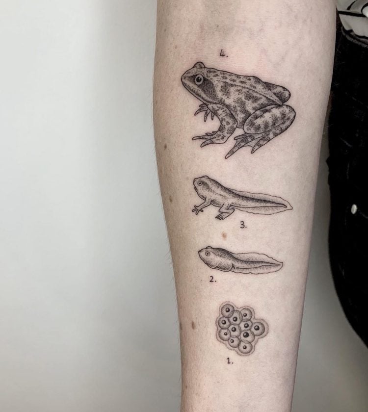 Precise Lines and Stipples Detail Tattoos of Exquisite Scientific Studies  by Michele Volpi  Colossal