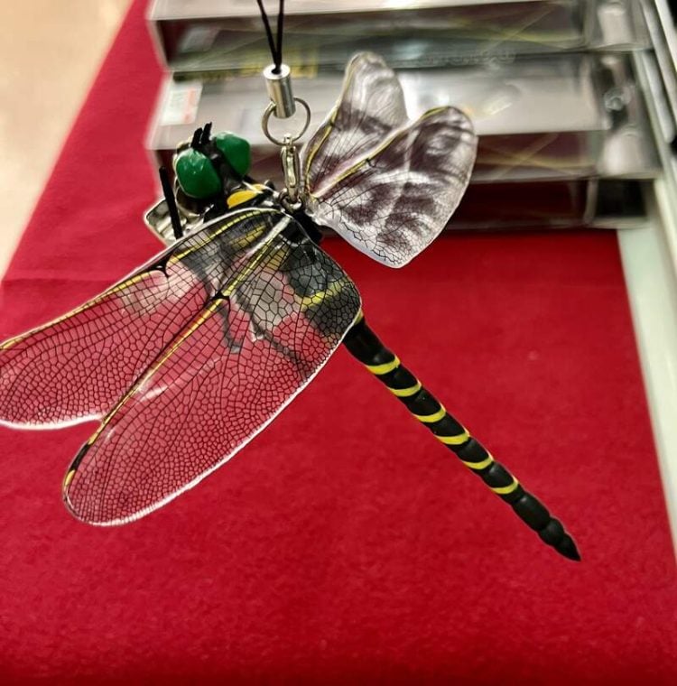 Company Sells Dragonfly-Shaped Pendant That Allegedly Keeps