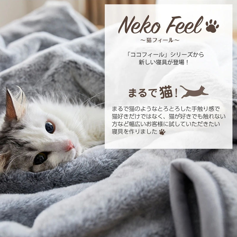 Japanese Company Launches Fur-Inspired Bed Linens That Feel Like Petting a Cat - Vimarsana News
