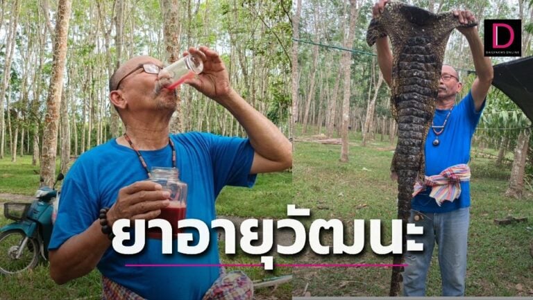Thai Businessman Drinks Crocodile Blood Twice a Day to Stay in Shape