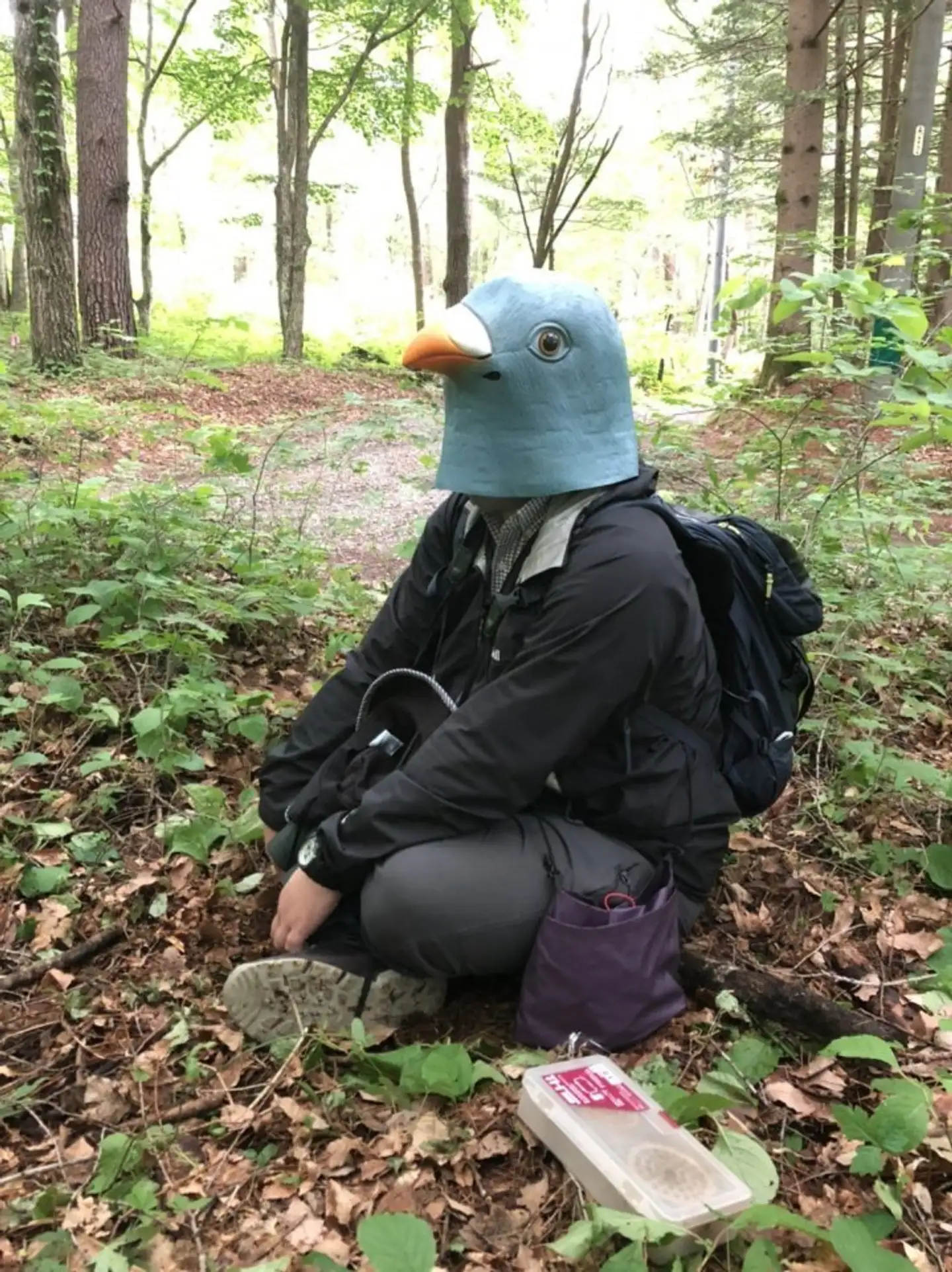 Scientist Wears Giant Bird Head for a Year to Befriend Real Birds, Fails