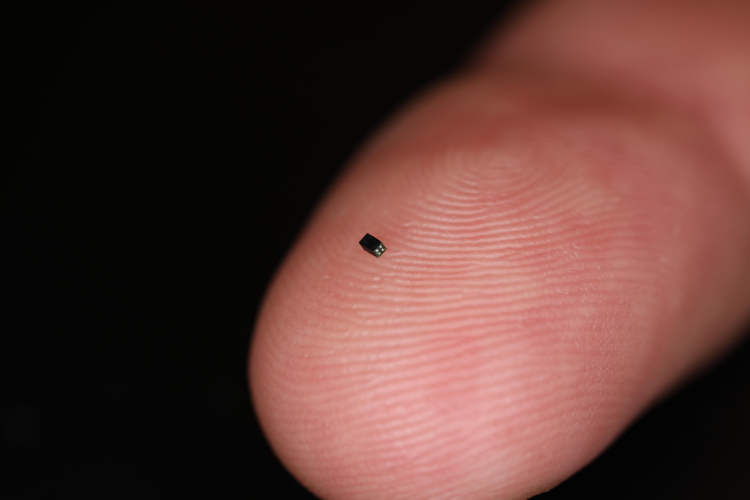 The world's smallest bag, tiny as a grain of salt, was sold for