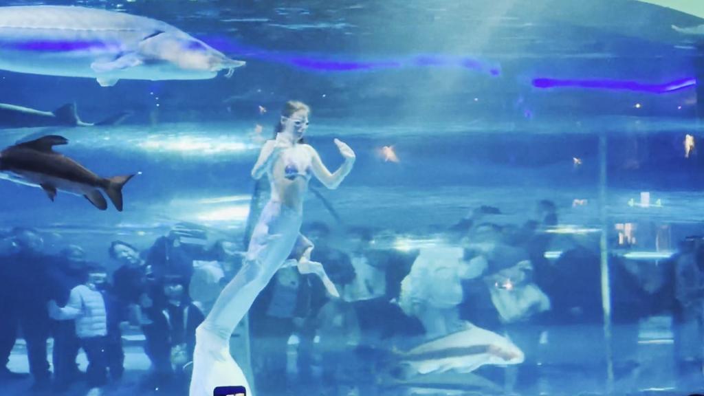 Mermaid Performer Has Her Head Swallowed by Giant Aquarium Fish During Show